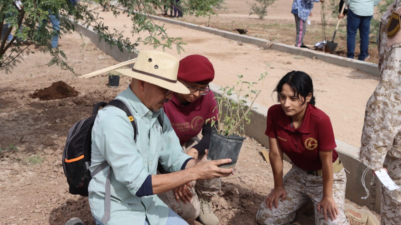 Mexicali Fluye convierte drenes abandonados en corredores verdes, impulsando comunidad, sostenibilidad urbana y reforestación