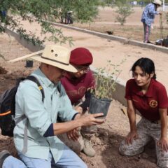 Mexicali Fluye convierte drenes abandonados en corredores verdes, impulsando comunidad, sostenibilidad urbana y reforestación