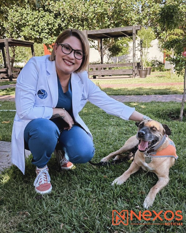 De sobrevivir en las vías del metro en CDMX a las aulas; Elmar, el perro que cambió la forma de aprender en México