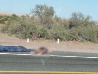 Localizan cuerpo encobijado y semidesnudo junto a carretera de San Felipe; investigan ejecución violenta