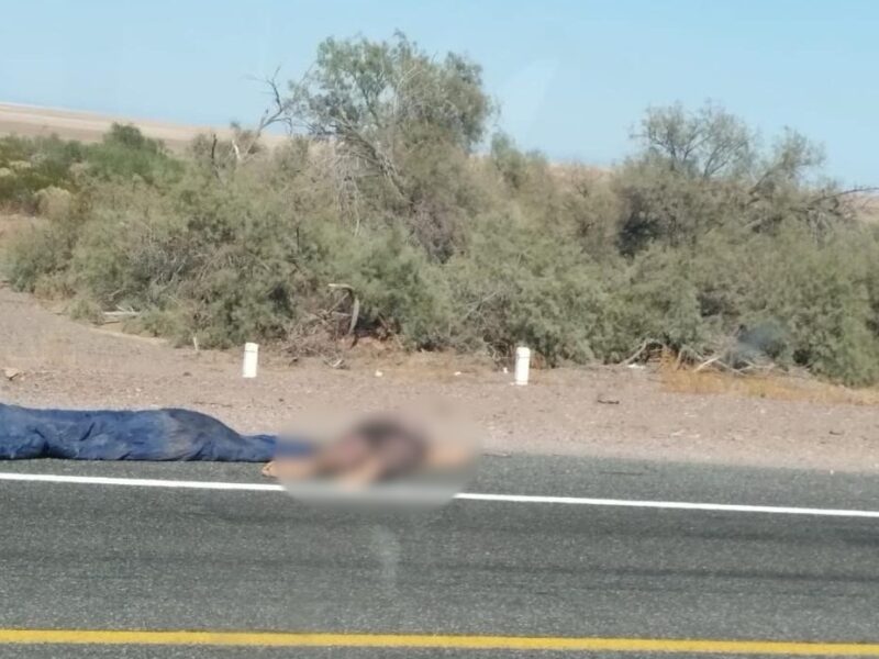 Localizan cuerpo encobijado y semidesnudo junto a carretera de San Felipe; investigan ejecución violenta