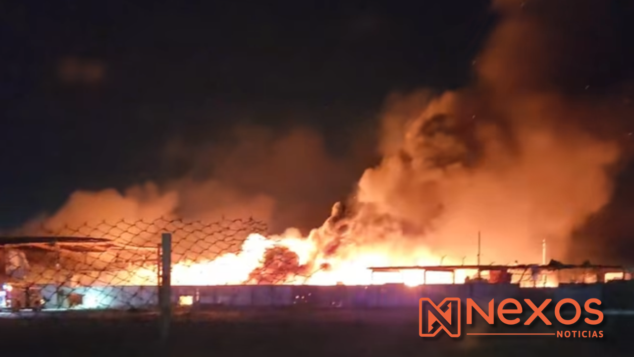 Incendio en recicladora reactiva demanda ambiental, piden a juzgado federal clausura precautoria