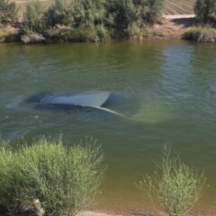 Muere trabajador agrícola “El Bocho”, tras caer con su vehículo al canal Independencia en el Valle de Mexicali