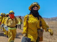 Brigadistas forestales fortalecen estrategias binacionales para enfrentar temporada crítica de incendios
