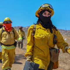 Brigadistas forestales fortalecen estrategias binacionales para enfrentar temporada crítica de incendios