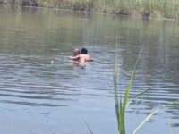 Policías municipales rescatan a menor de morir ahogado en río; hombre que ayudó pierde la vida