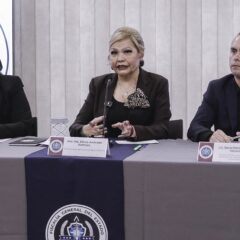 Fiscalía imputará homicidio con dolo eventual a madre por muerte de niño abandonado en vehículo