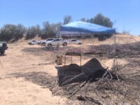 Hallan dos osamentas en nueva fosa clandestina y suman 44 restos recuperados en el “narco cementerio”