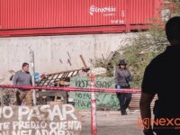 Identifican a Aida Valenzuela, víctima del presunto ataque de una jauría en Nacozari; familia exige investigar posibles omisiones y responsabilidades