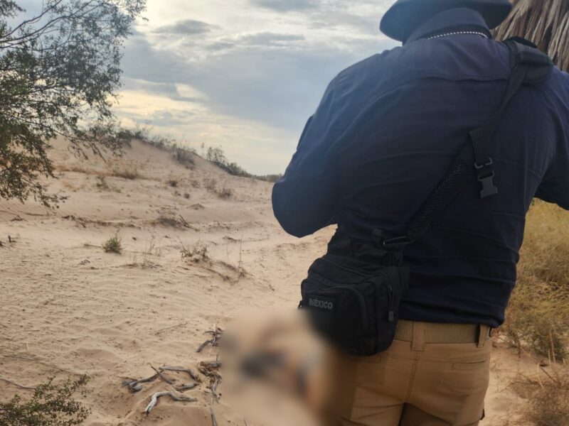 Integrante de la comunidad trans, víctima de asesinato en el Valle de Mexicali; investigan posible transfeminicidio