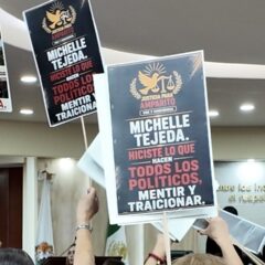 Exigen a diputada Michel Tejeda cumplir promesa de unidad móvil para esterilización de mascotas