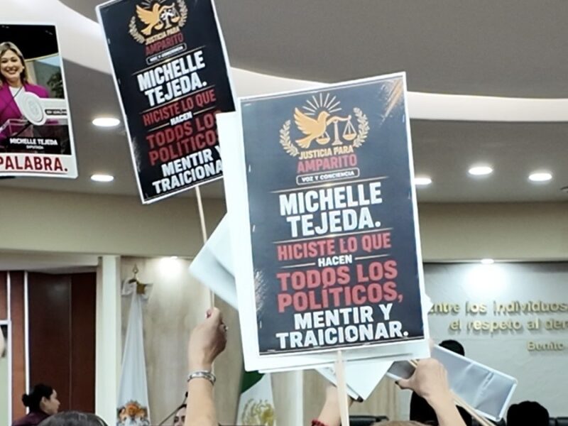 Exigen a diputada Michel Tejeda cumplir promesa de unidad móvil para esterilización de mascotas