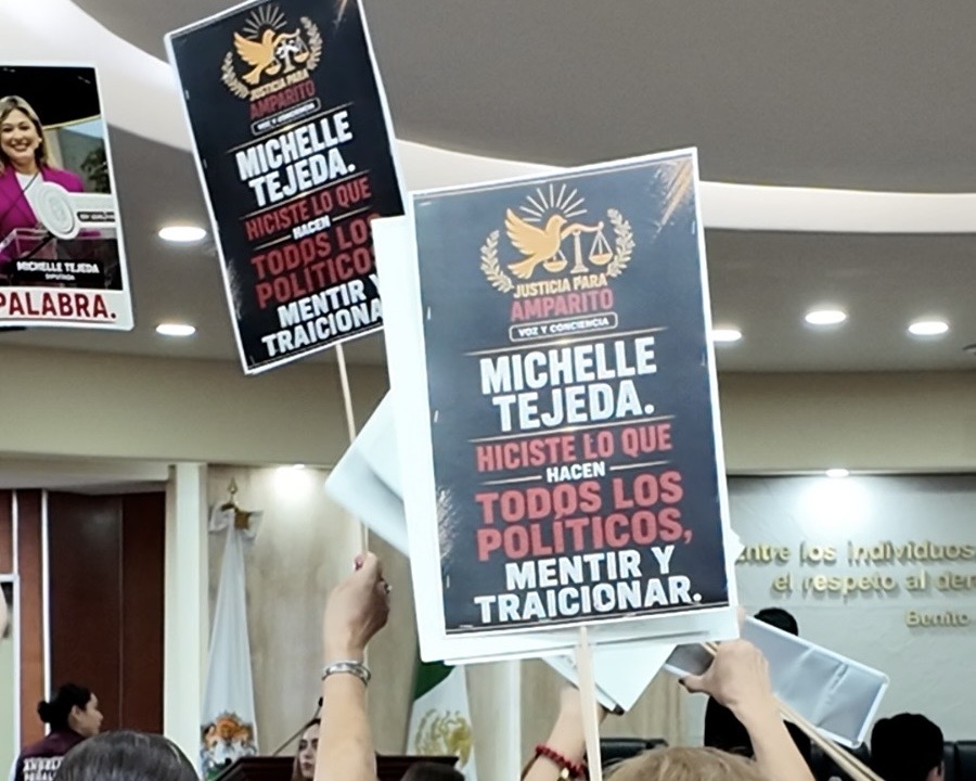 Exigen a diputada Michel Tejeda cumplir promesa de unidad móvil para esterilización de mascotas