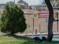 Calor extremo cobra 34 vidas en Baja California; Mexicali concentra la tragedia y triplica muertes