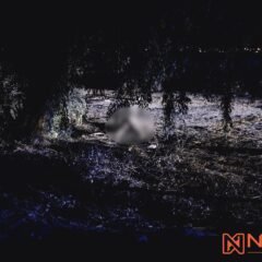 Hallan sin vida a una mujer en Progreso; lesiones de extrema violencia de género fortalecen línea de posible feminicidio