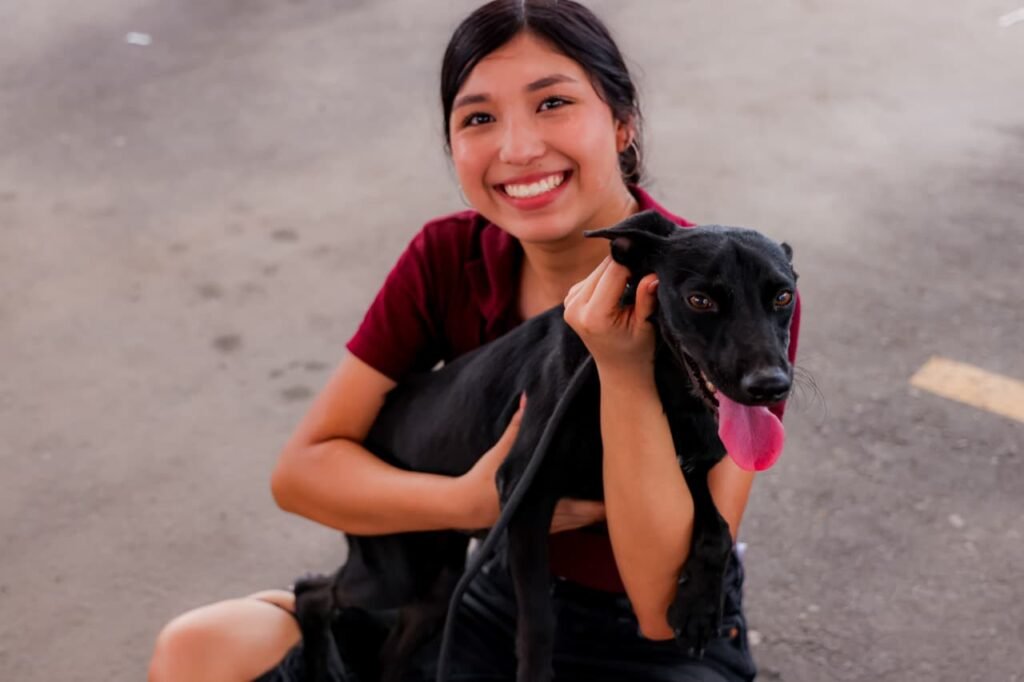 230 perros y gatos esperan una familia en Mexicali; buscan adopciones responsables ante abandono y maltrato