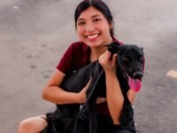 230 perros y gatos esperan una familia en Mexicali; buscan adopciones responsables ante abandono y maltrato
