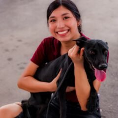 230 perros y gatos esperan una familia en Mexicali; buscan adopciones responsables ante abandono y maltrato
