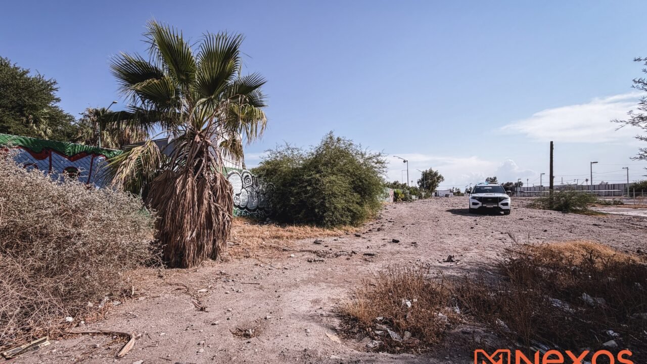 Localizan a persona sin vida junto a Plaza Cachanilla
