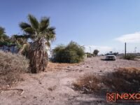 Localizan a persona sin vida junto a Plaza Cachanilla