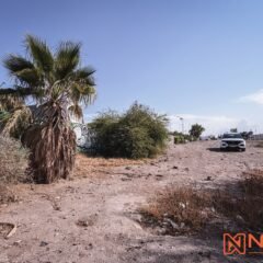Localizan a persona sin vida junto a Plaza Cachanilla