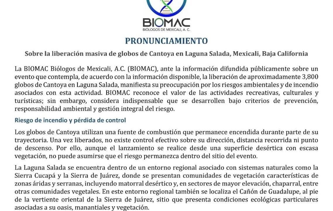 BIOMAC advierte riesgos ambientales por liberación de 3 mil 800 globos de Cantoya en Laguna Salada