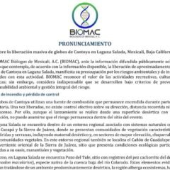 BIOMAC advierte riesgos ambientales por liberación de 3 mil 800 globos de Cantoya en Laguna Salada