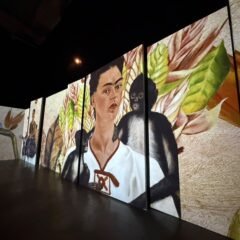 Inauguran en Mexicali la exposición inmersiva “Yo soy Frida Kahlo”