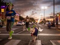 “Corriendo con Mily” reúne 402 kilos de alimento para animales afectados por Rachel en Ensenada