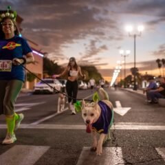 “Corriendo con Mily” reúne 402 kilos de alimento para animales afectados por Rachel en Ensenada