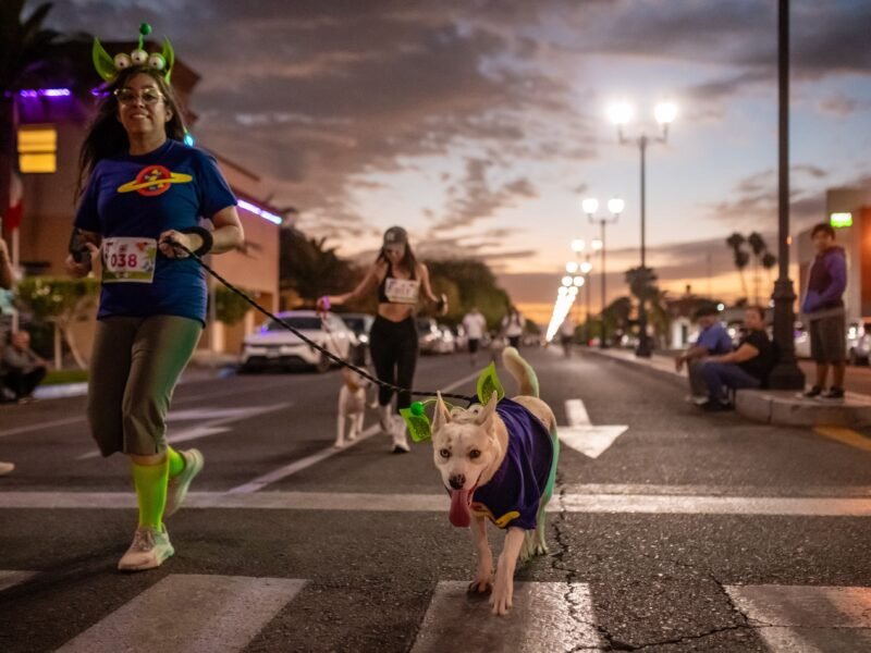“Corriendo con Mily” reúne 402 kilos de alimento para animales afectados por Rachel en Ensenada