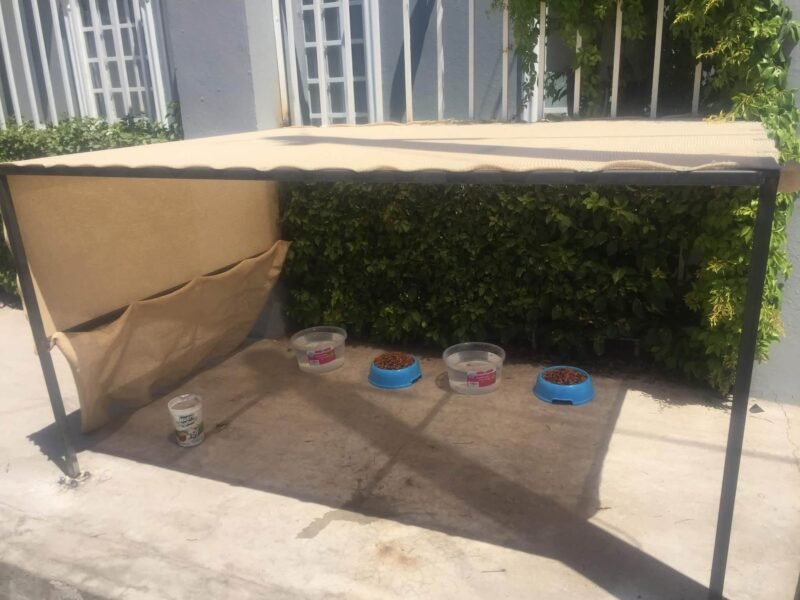 Multa Policía Municipal a ciudadano por instalar sombra y dar agua a perros callejeros