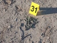 Localizan más de 50 casquillos de arma larga durante búsqueda en el poblado Miguel Alemán