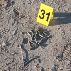 Localizan más de 50 casquillos de arma larga durante búsqueda en el poblado Miguel Alemán