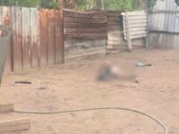 Muere hombre abatido por policías municipales; agresor se abalanzó con machete en contra de su hermano y policías